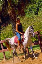 Reiten