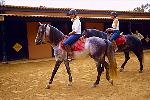 Reiten