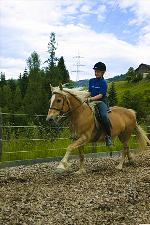 Reiten