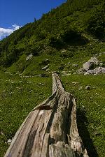 Berge im Sommer