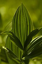 Natur genie�en