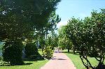 B�ume im Aldiana