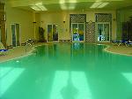 Wellness- Center