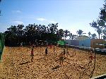 Beachvolleyball spielen