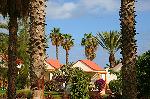 Palmen und Bungalows