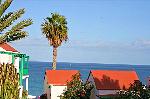 Palme und Meer