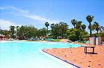 Swimming- Pool