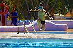 Kind am Pool
