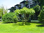 gr�ne Club Anlage