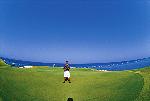 Golfer