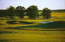 Golfplatz