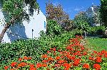 Bunter Garten