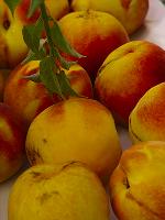 Obst