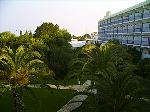 Palmen