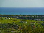 Landschaft