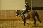 Reitvergn�gen