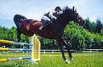 Springreiten