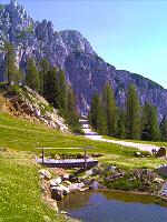 Br�cke
