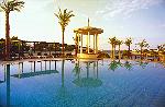 Palmen am Pool