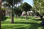 Park im Club