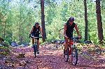 Biker im Wald