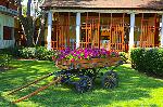 Blumenwagen