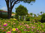 Blumen