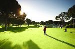 Golfer