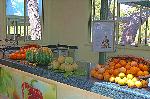 Obst