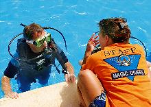 Magic Divers