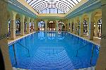 Wellness- Center