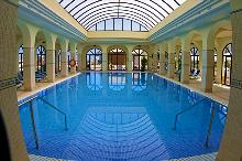 Wellness- Center