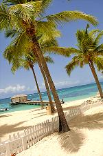 Strand und Steg