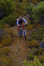 Biken