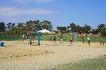 Beach- Volleyball