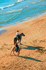 Reiten