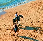 Reiten
