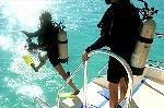 Sprung ins Meer