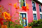 Blumen