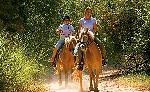 Reiten