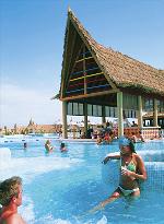 swim up Bar