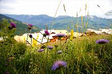Blumen