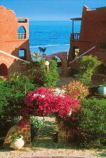 Garten anlage