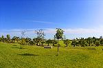 Golfplatz Portugal