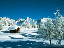 Wintertraum
