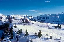 Winterlandschaft
