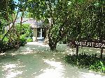 Wellness Center 