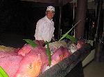 Frische Fische