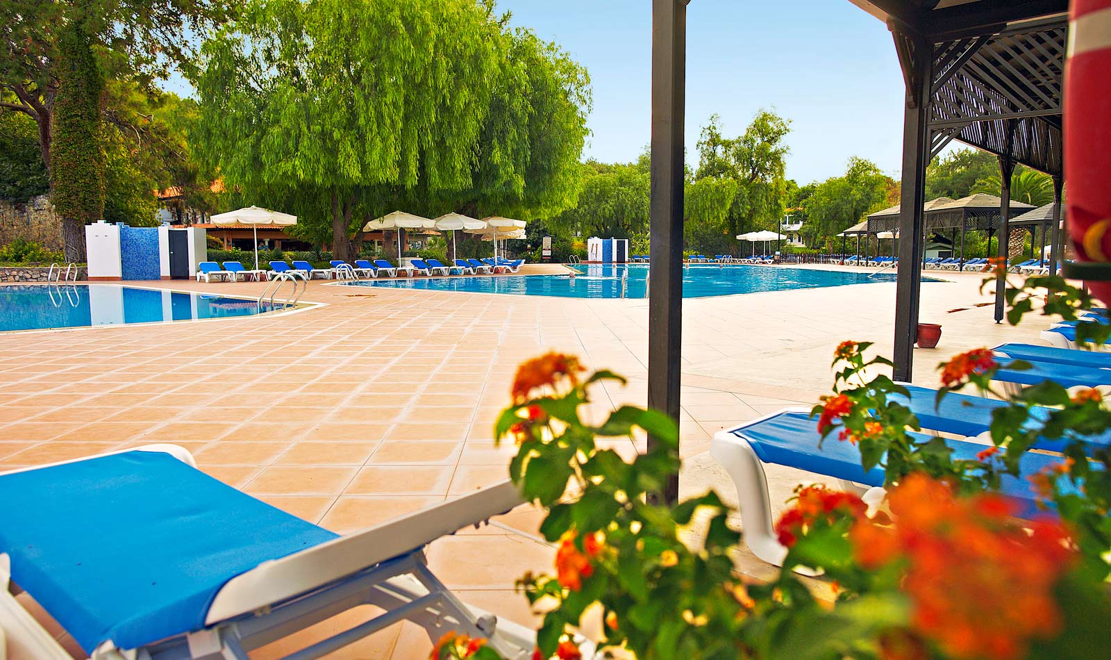 single mit kind herbstferien