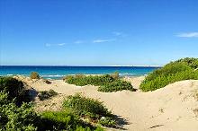 D�nen